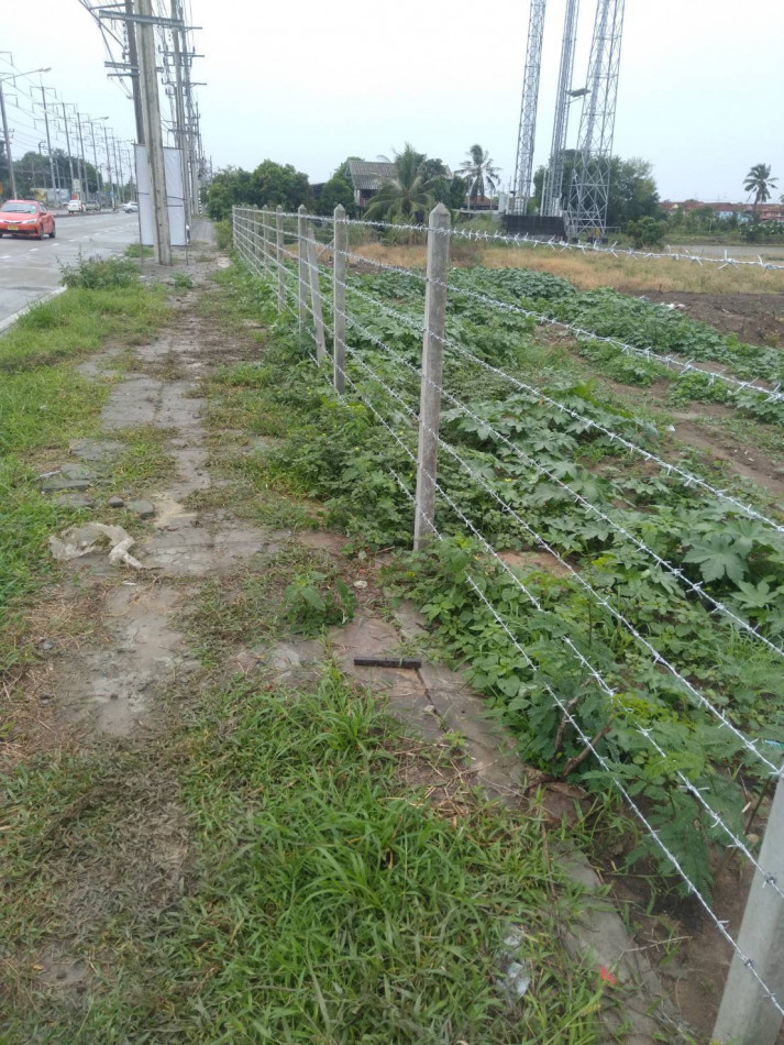 ขายที่ดินถมแล้ว ทำเลดีติดถนนใหญ่ บางกรวย-ไทรน้อย  ขนาด 5 ไร่ เหมาะทำธุรกิจ-ลงทุนโครงการ – รูปที่ 4