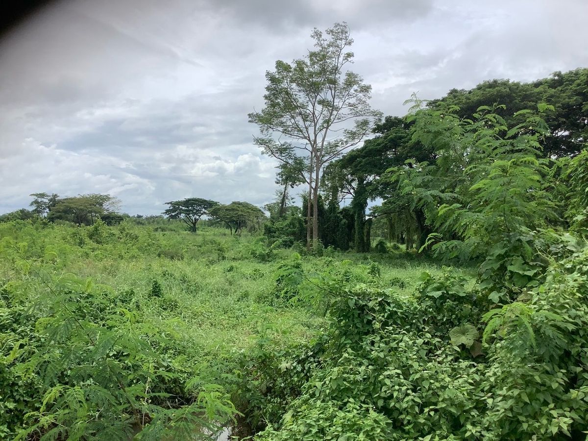 Land for sale in the heart of Nong Bua Lamphu 346 rai