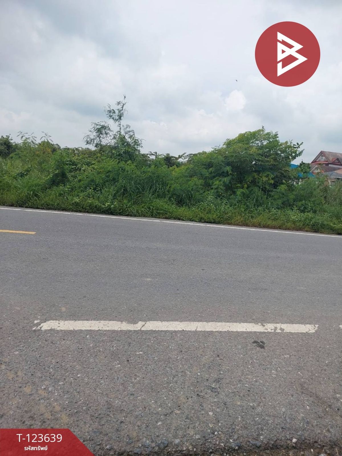 ขายที่ดิน เนื้อที่ 120 ตารางวา องครักษ์ นครนายก – รูปที่ 3