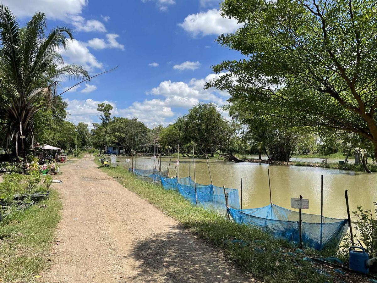 Land for sale 101 rai 1 ngan 3 sq.w. (Land Chapter), Rangsit Road, Khlong 10, Bueng Ba Subdistrict, Nong Suea District, Pathum Thani