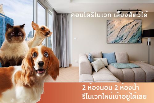 เจ้าของขายเอง รีโนเวทเอง เลยเข้าใจคนเลี้ยงสัตว์ที่อยากได้คอนโดย่านทองหล่อ ปาร์ตี้ได้โดยไม่ต้องห่วงเวลาน้องอยู่ห้องลำพัง
