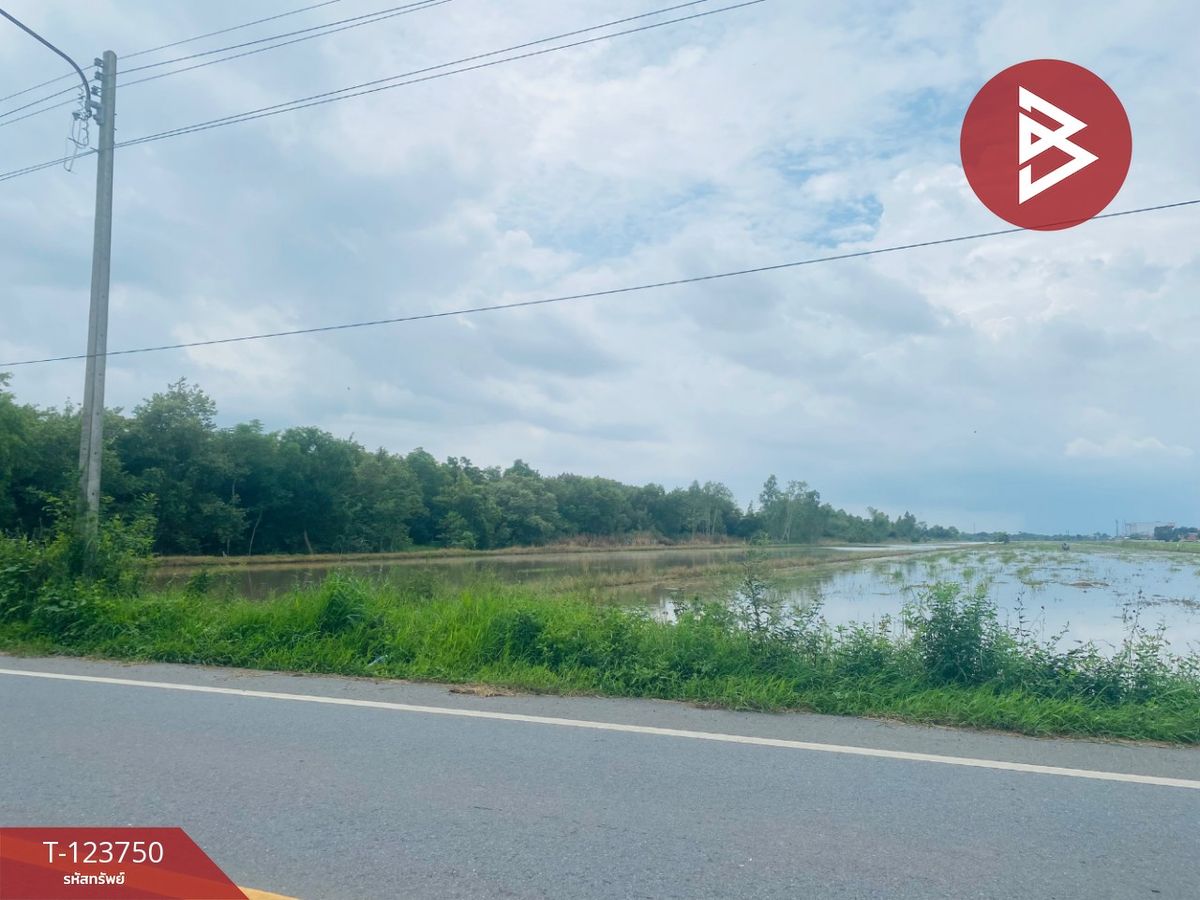 Land for sale, area of ​​3 rai 3 jobs, Lam Luk Ka, Pathum Thani – รูปที่ 4