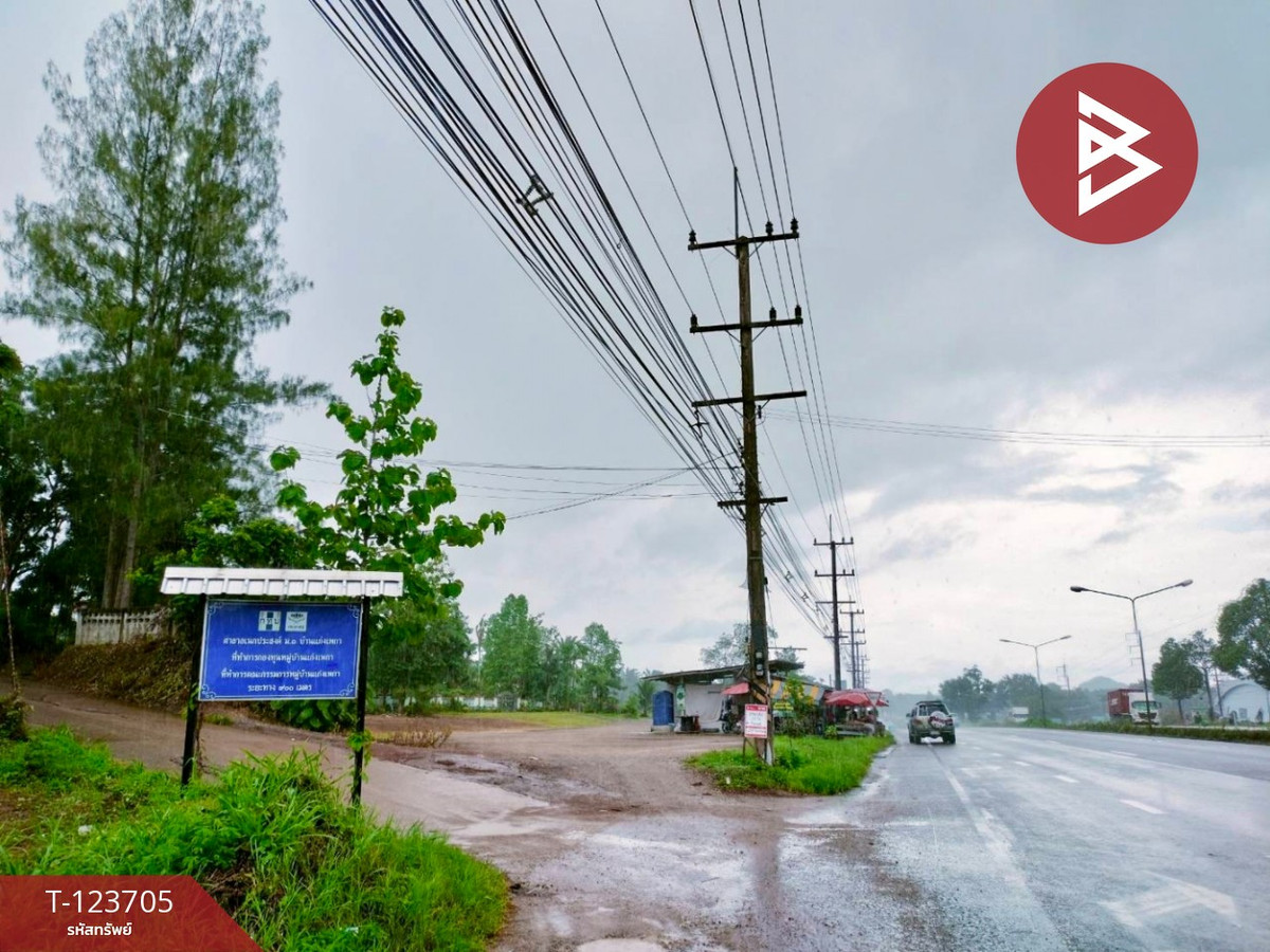 ขายที่ดิน เนื้อที่ 17 ไร่ 79 ตร.วา ท่าแซะ ชุมพร – รูปที่ 2