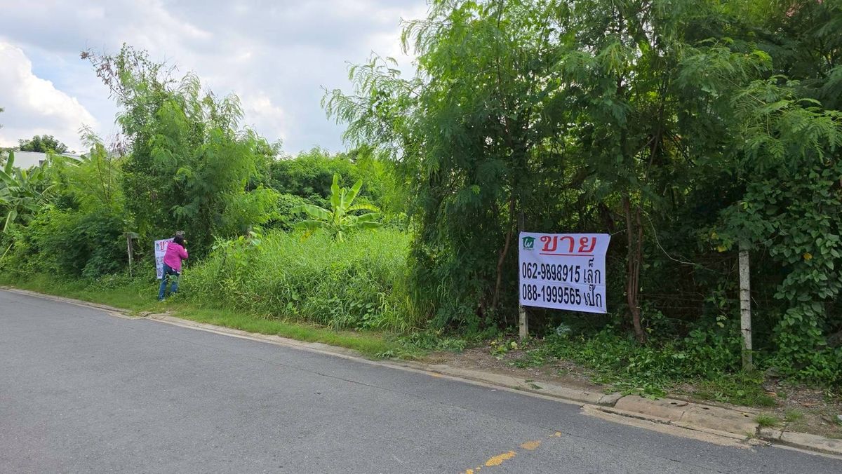 🏡✨ ขายที่ดิน 165 ตร.ว. ซอยรัชดาภิเษก 32 แยก 7 ใจกลางเมือง 🌆 ที่ดินสวยกลางรัชดาฯ-ลาดพร้าว โอกาสที่คุณไม่ควรพลาด!  – รูปที่ 3