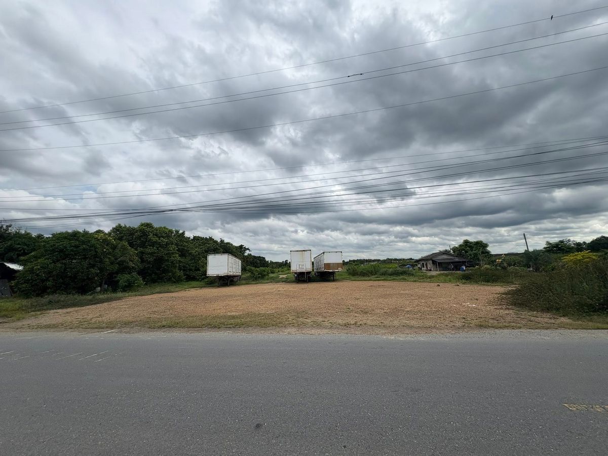 Land for Sale. Prime Location in Nakhon Pathom Nong Pak Long Sub. – รูปที่ 2