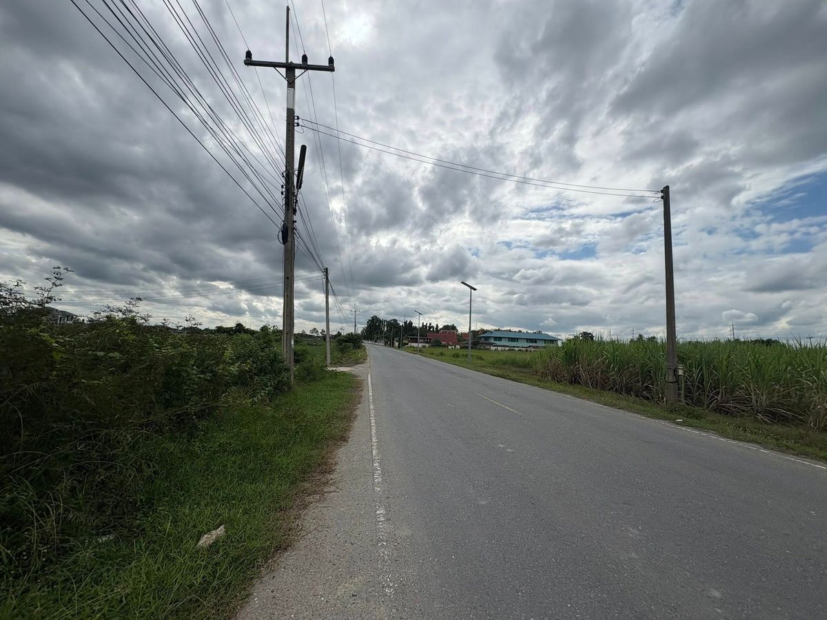 Land for Sale. Prime Location in Nakhon Pathom Nong Pak Long Sub. – รูปที่ 3