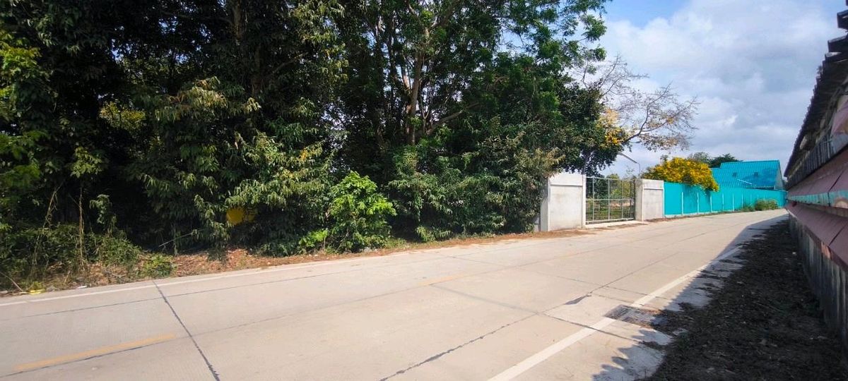 Land for sale, Bang Phai 4 Road, Rayong Municipality. – รูปที่ 4