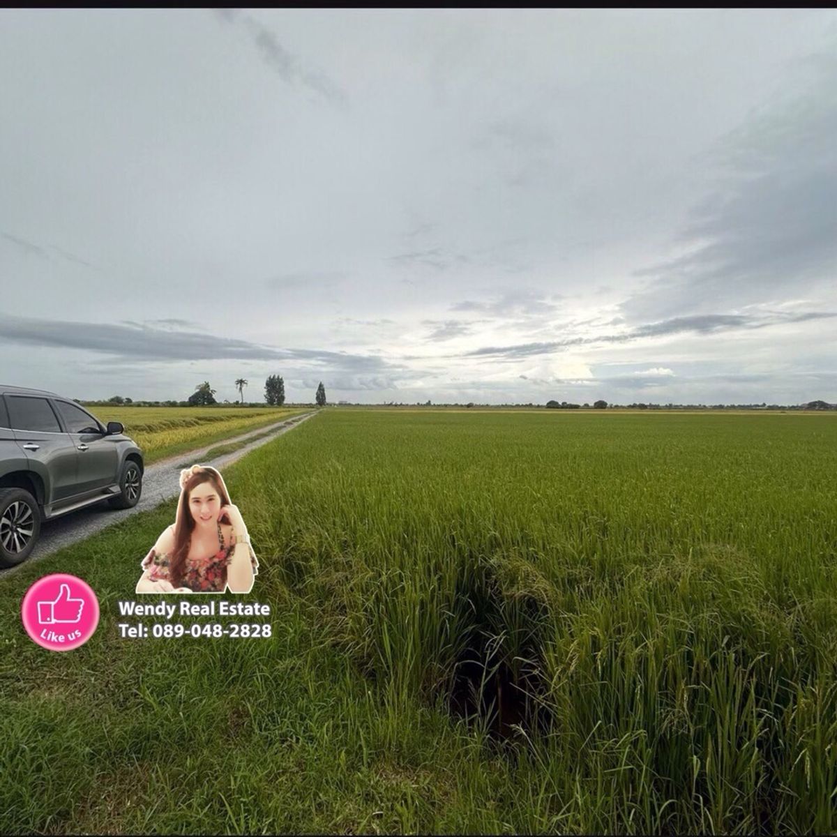 Beautiful land for sale, Mueang Suphan District. Don Pho Thong Subdistrict Buy and keep profit Buy and sell plots, area 27 rai 3 ngan, next to road on 3 sides. Beautiful land for sale, Mueang Suphan District. Don Pho Thong Subdistrict Buy and keep profit Buy and sell plots, area 27 rai 3 ngan, next to road on 3 sides.