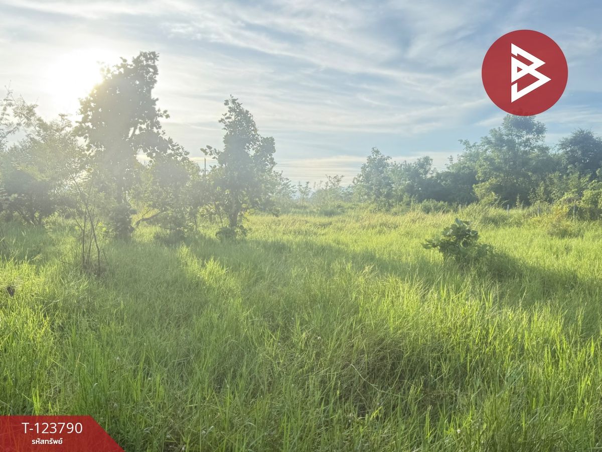 ขายที่ดิน เนื้อที่ 1 งาน 25 ตร.วา สันป่าตอง เชียงใหม่ – รูปที่ 2