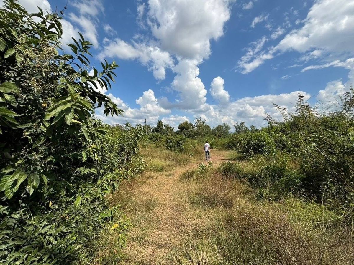 Land for Sale Thung Fai Subdistrict, Mueang Lampang, Lampang Province – รูปที่ 4