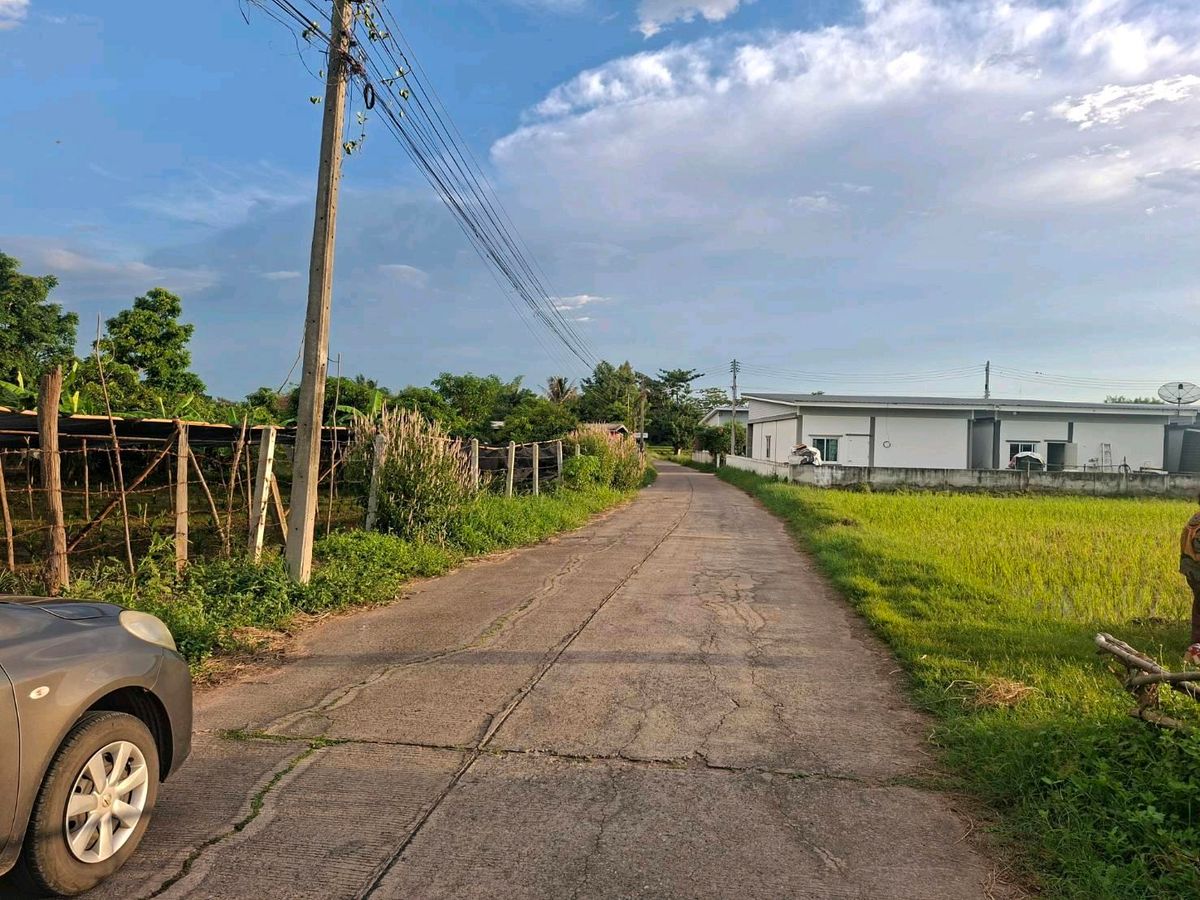 1 ngan of land for sale, Tha Phra Subdistrict, Khon Kaen Province. – รูปที่ 3