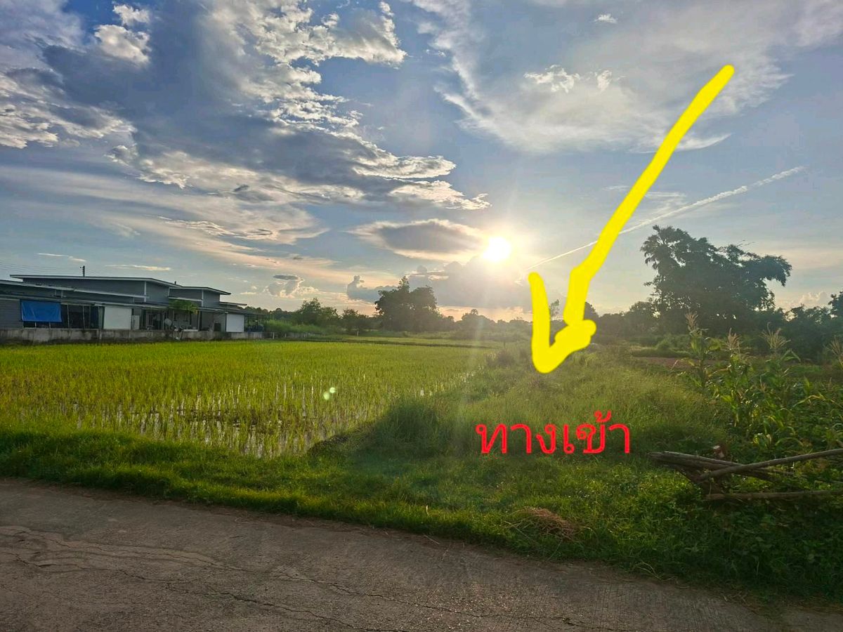 1 ngan of land for sale, Tha Phra Subdistrict, Khon Kaen Province. – รูปที่ 2