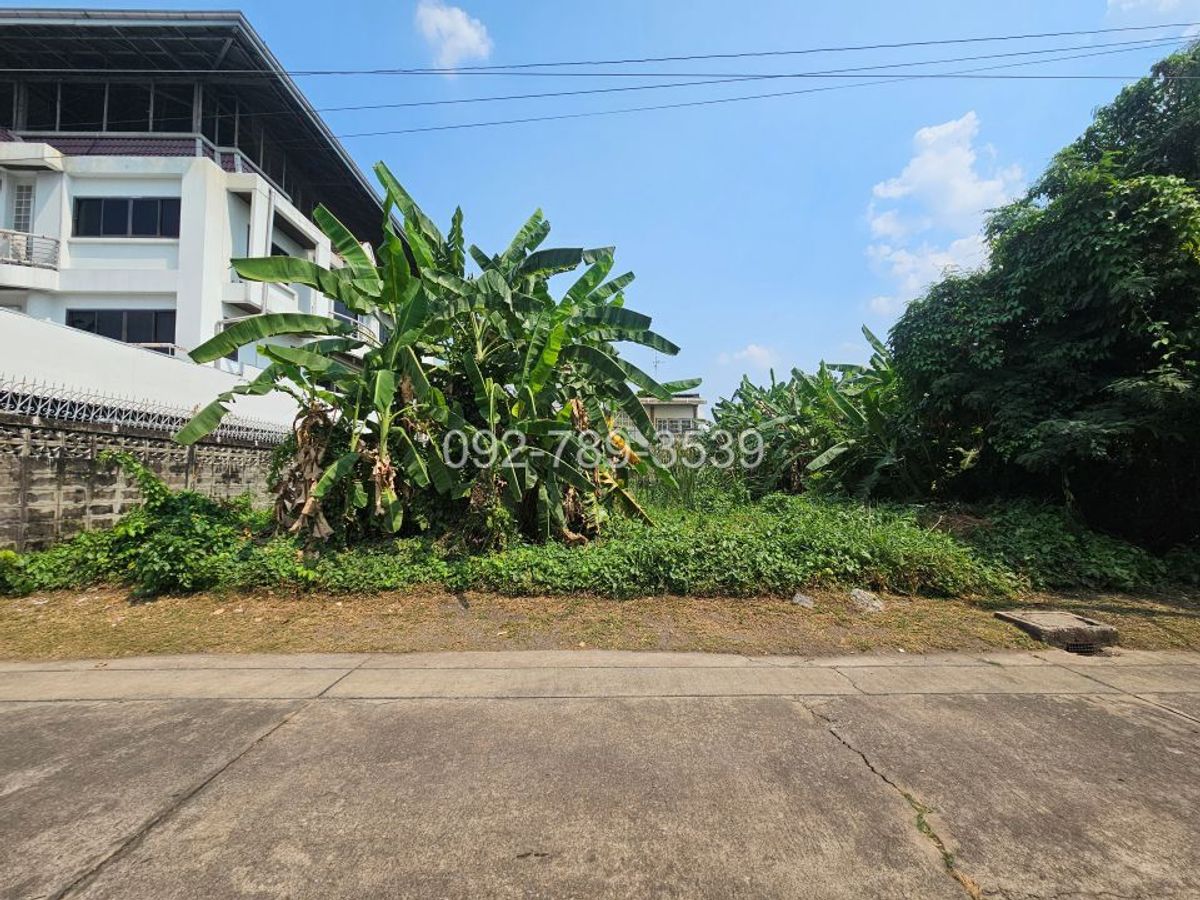 ขายที่ดินแจ้งวัฒนะ 100 ตร.วา หมู่บ้านเมืองทองนิเวศน์ 1 ซอยชมรม5 ใกล้รถไฟฟ้าสายสีชมพู สถานีแจ้งวัฒนะ14  – รูปที่ 3