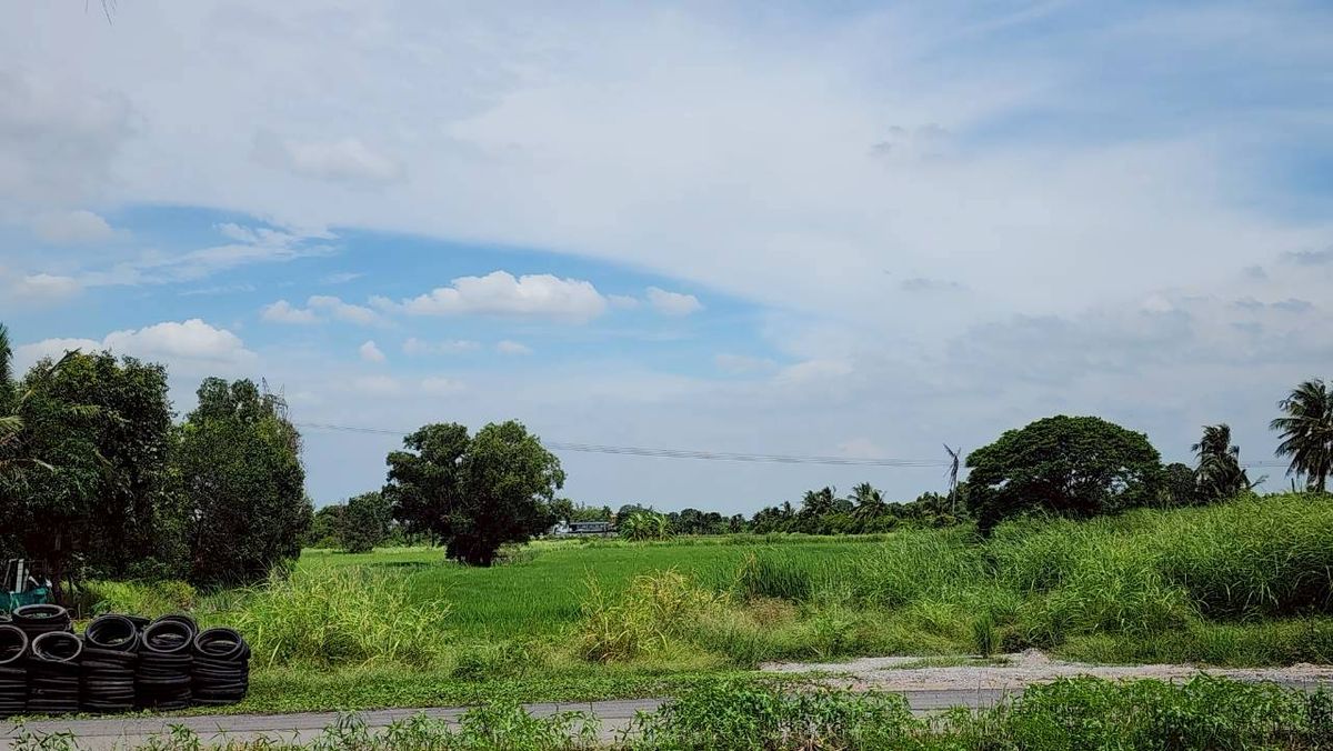 Urgent sale, empty land 8 rai, beautiful plot, partially filled, Khlong 8, Nong Suea, Pathum. – รูปที่ 4