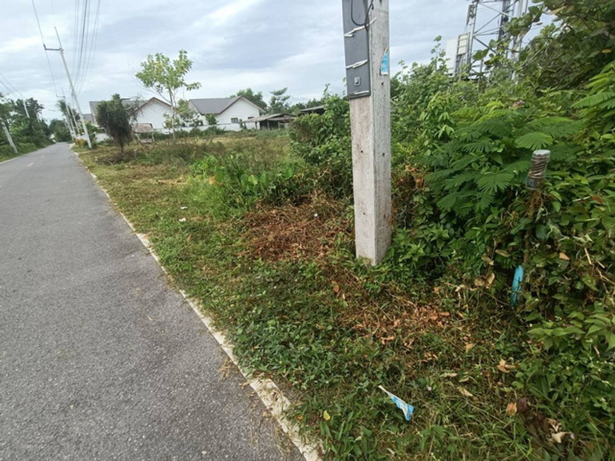 Beautiful plot of land for sale Next to Soi Tha Rang 3, Ban Phru Road - Wing 56, Thung Lan Subdistrict, Khlong Hoi Khong District, Songkhla Province, close to Hat Yai Airport, only about 10 minutes, to Hat Yai only 28 minutes. If interested, please come a – รูปที่ 4