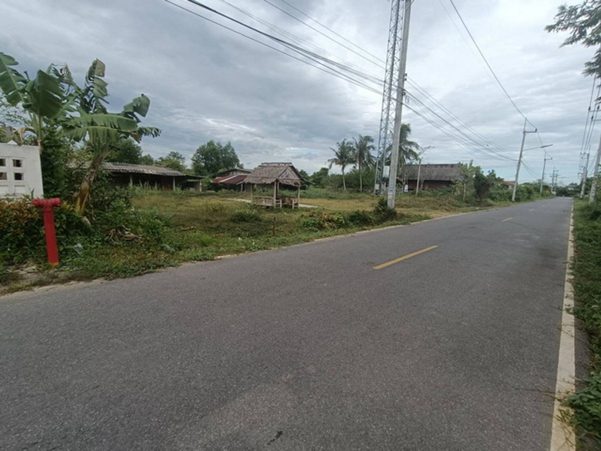 Beautiful plot of land for sale Next to Soi Tha Rang 3, Ban Phru Road - Wing 56, Thung Lan Subdistrict, Khlong Hoi Khong District, Songkhla Province, close to Hat Yai Airport, only about 10 minutes, to Hat Yai only 28 minutes. If interested, please come a – รูปที่ 3