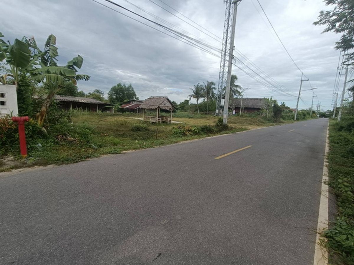 Beautiful plot of land for sale Next to Soi Tha Rang 3, Ban Phru Road - Wing 56, Thung Lan Subdistrict, Khlong Hoi Khong District, Songkhla Province, close to Hat Yai Airport, only about 10 minutes, to Hat Yai only 28 minutes. If interested, please come a – รูปที่ 2