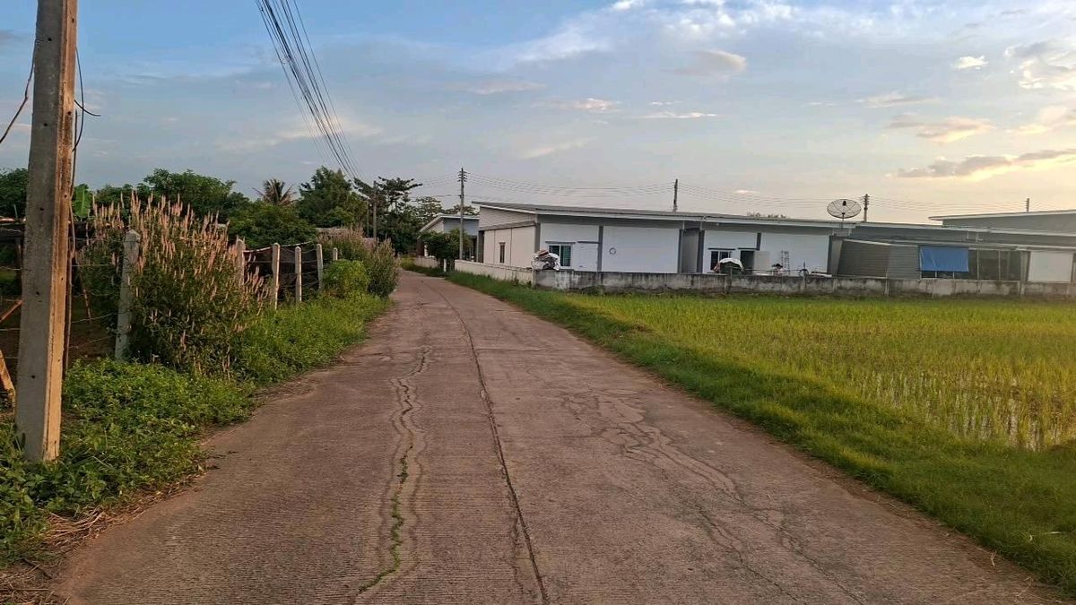 1 ngan of land for sale, Tha Phra Subdistrict, Khon Kaen Province. – รูปที่ 4