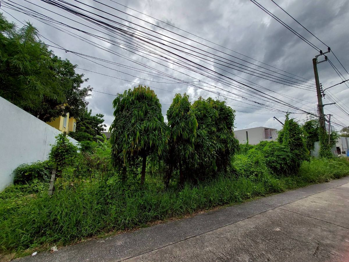 🏡✨ Empty land for sale, potential location, Soi Punnawithi 24, Sukhumvit 101 ✨🏡 – รูปที่ 2