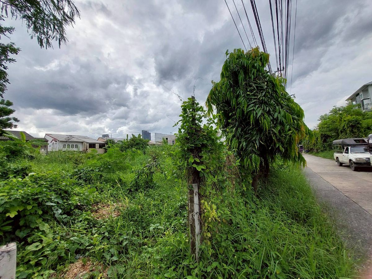 🏡✨ Empty land for sale, potential location, Soi Punnawithi 24, Sukhumvit 101 ✨🏡 🏡✨ Empty land for sale, potential location, Soi Punnawithi 24, Sukhumvit 101 ✨🏡