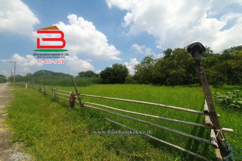 ที่ดินเปล่า ซอยราษฎร์อุทิศ 70 (ซอยธำรงวินิจฉัย) เนื้อที่ 422 ตร.ว ใกล้เดอะธามส์การ์เดน แขวงแสนแสบ(ศรีษะคู้) เขตมีนบุรี(แสนแสบ) – รูปที่ 4