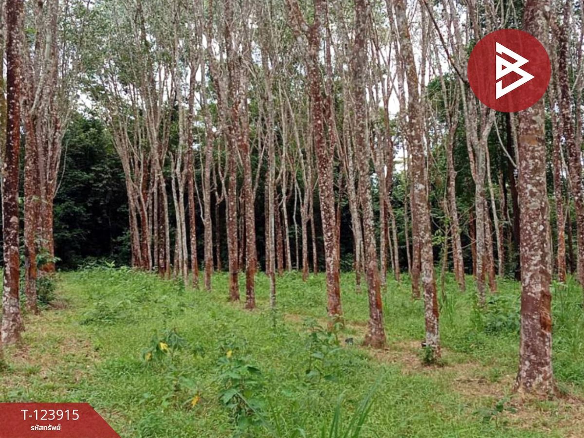 Rubber plantation land for sale with house, area 20 rai 89.5 square wah, Khao Saming, Trat. – รูปที่ 3