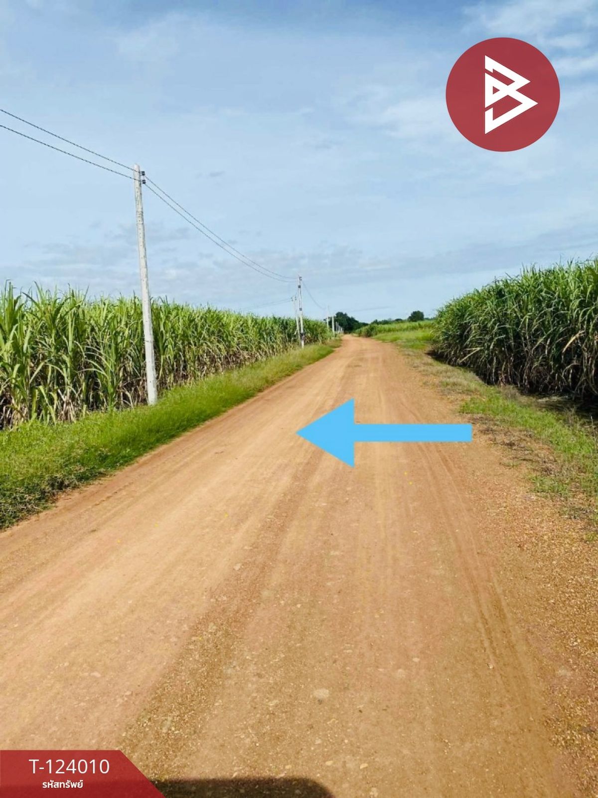 Land for sale, area 5 rai 48.8 sq m, Si Thep, Phetchabun. – รูปที่ 4