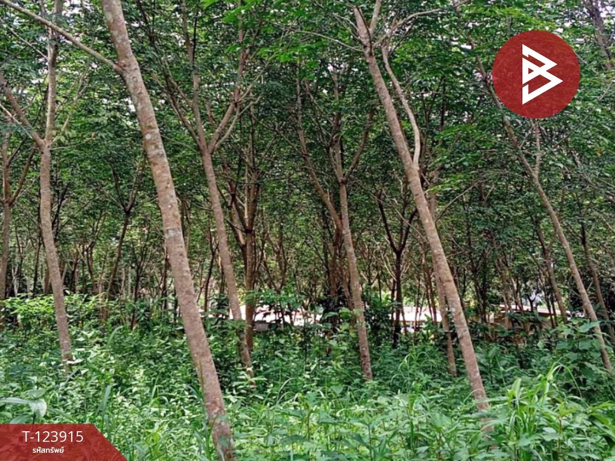 Rubber plantation land for sale with house, area 20 rai 89.5 square wah, Khao Saming, Trat. – รูปที่ 4