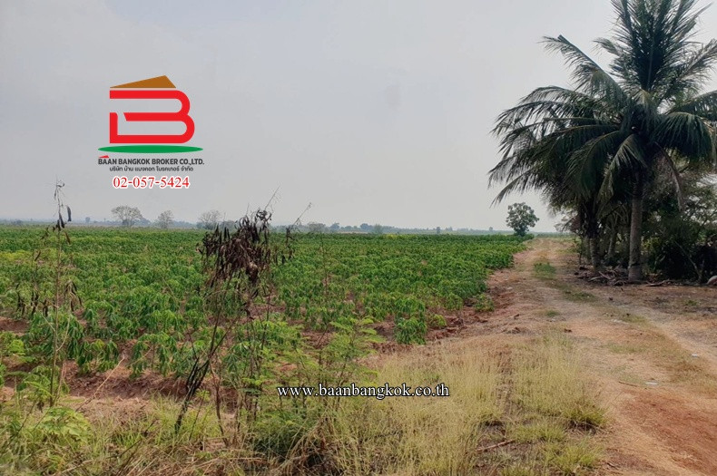 ที่ดินเปล่า ตรงข้ามสนามกอล์ฟเอเวอร์กรีนฮิลล์ (ท่าม่วง-กาญจนบุรี) เนื้อที่ 1102 ไร่ ตำบลรางสาลี่ อำเภอท่าม่วง จังหวัดกาญจนบุรี – รูปที่ 2