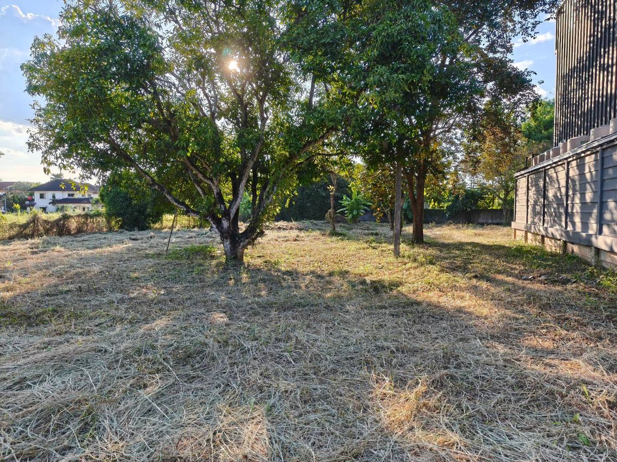 Rent/sell empty land 1-1-94 square wah Rent/sell empty land 1-1-94 square wah