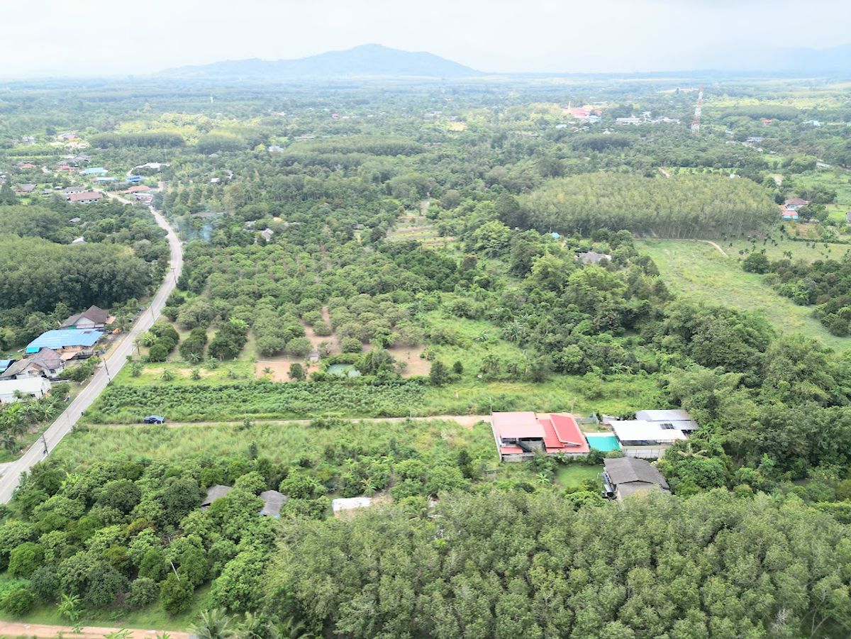 🏡 ขายที่ดินทำเลดี ราคาพิเศษ – ต.นาตาขวัญ อ.เมือง จ.ระยอง 📍 ใกล้เซ็นทรัลระยองเพียง 19 นาที – รูปที่ 3