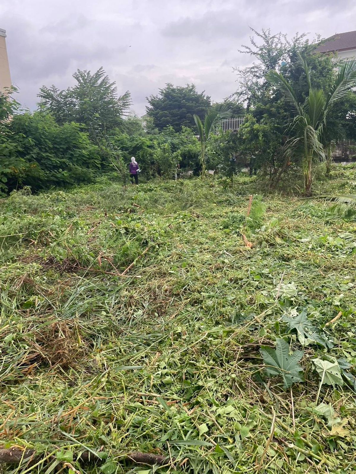 ขายที่ดินทำเลศักยภาพ – ซอยอ่อนนุช 46/2 (สุขุมวิท 77)