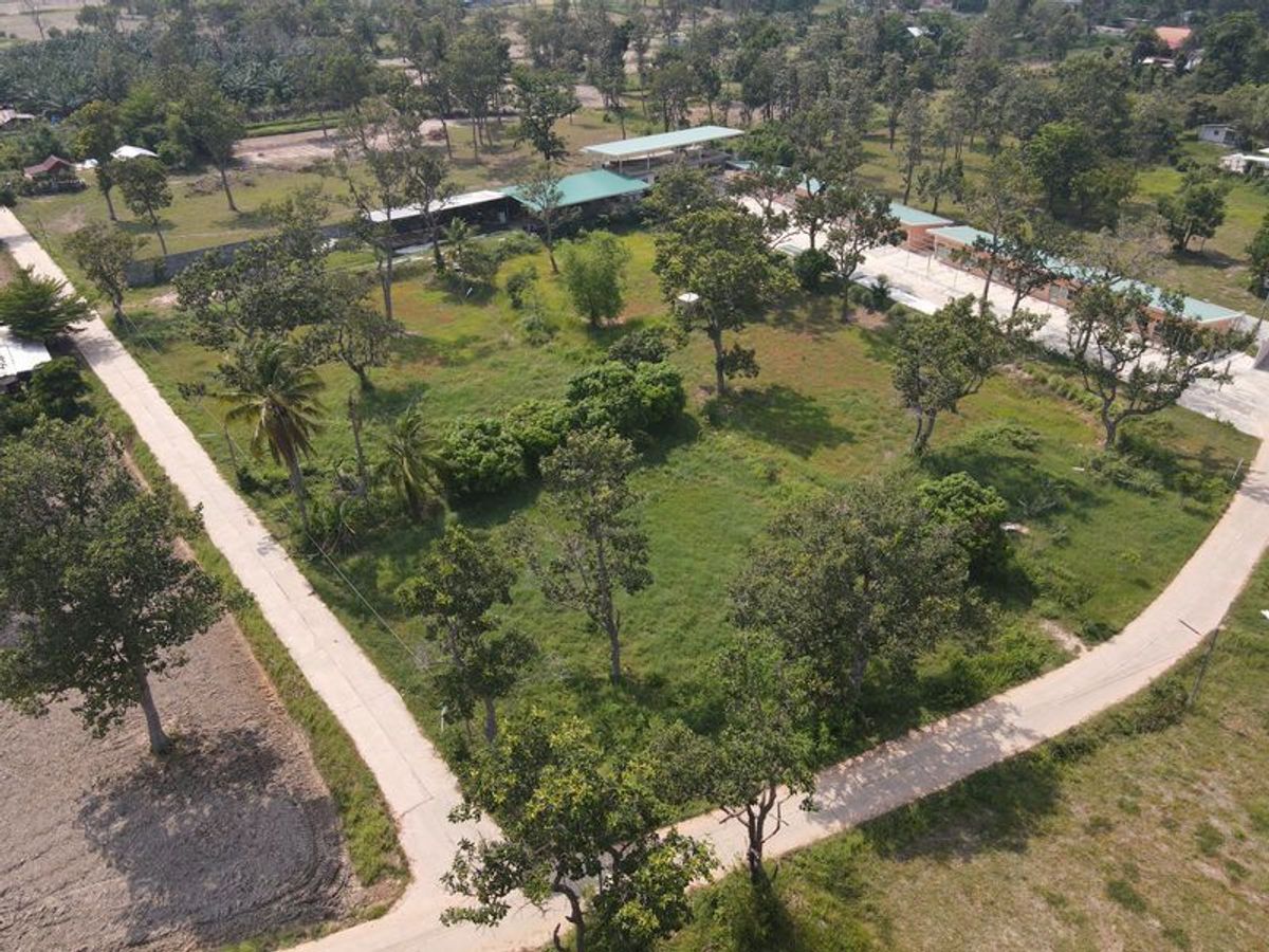 Land for sale with buildings Near Nong Pa Pong Temple, Warin Chamrap, Ubon Ratchathani Province. Land for sale with buildings Near Nong Pa Pong Temple, Warin Chamrap, Ubon Ratchathani Province.