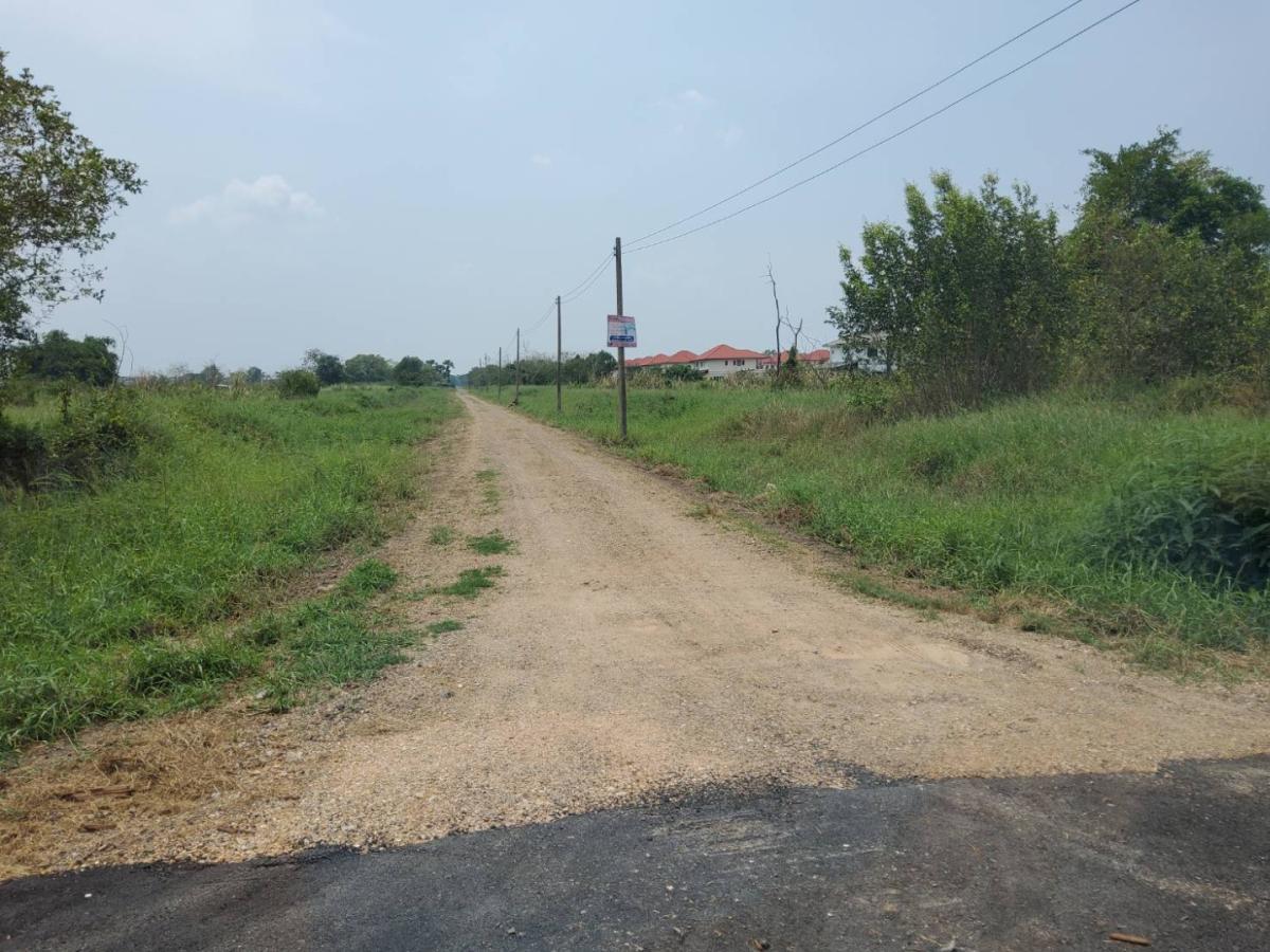 🌳 ขายที่ดิน รังสิต คลอง 6 (ฝั่งตะวันออก) ปทุมธานี ทำเลดี ใกล้แหล่งสำคัญ เดินทางสะดวก เข้าได้ 2 ทาง ซอย 66/1 หรือ 68 – รูปที่ 2