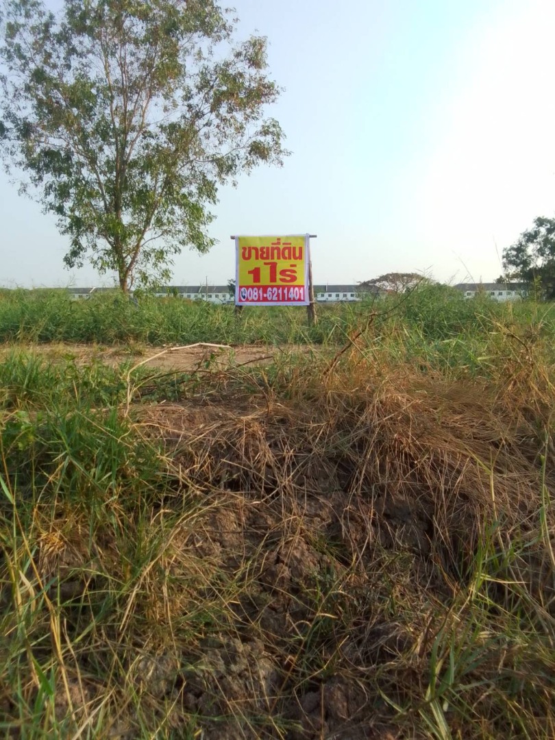 🌳 ขายที่ดิน รังสิต คลอง 6 (ฝั่งตะวันออก) ปทุมธานี ทำเลดี ใกล้แหล่งสำคัญ เดินทางสะดวก เข้าได้ 2 ทาง ซอย 66/1 หรือ 68 – รูปที่ 4