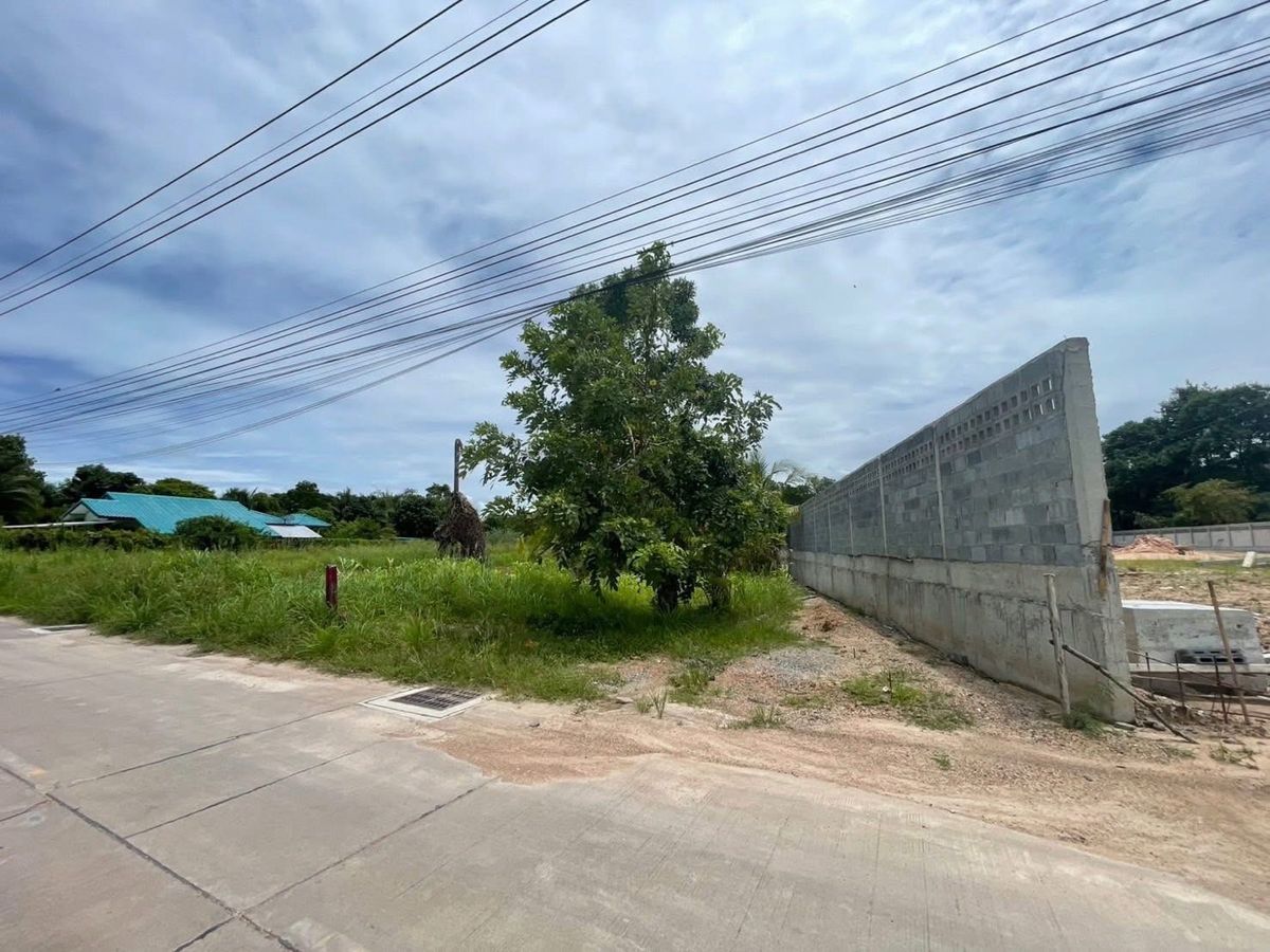 ขายที่ดินเปล่าหนองข้างคอก ทำเลดี  – รูปที่ 2