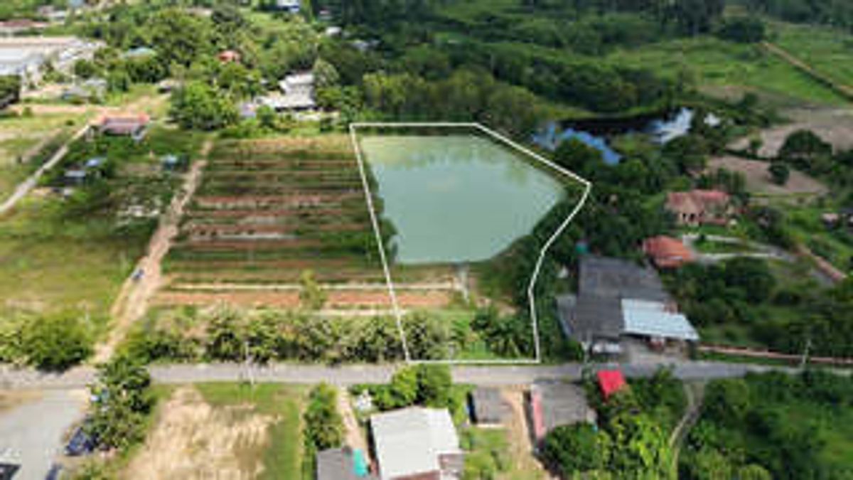 ขายที่ดิน บ้านน้ำซับ ต.นาวังหิน พนัสนิคม ใกล้ตลาดน้ำ 3 วัง  ยกแปลง  5-3-2 ไร่ เพียง  3.9  ล้านบาท ฟรีโอน 