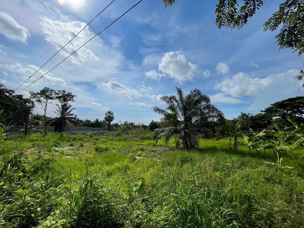 ขายที่ดินเปล่าหนองข้างคอก ทำเลดี  – รูปที่ 3