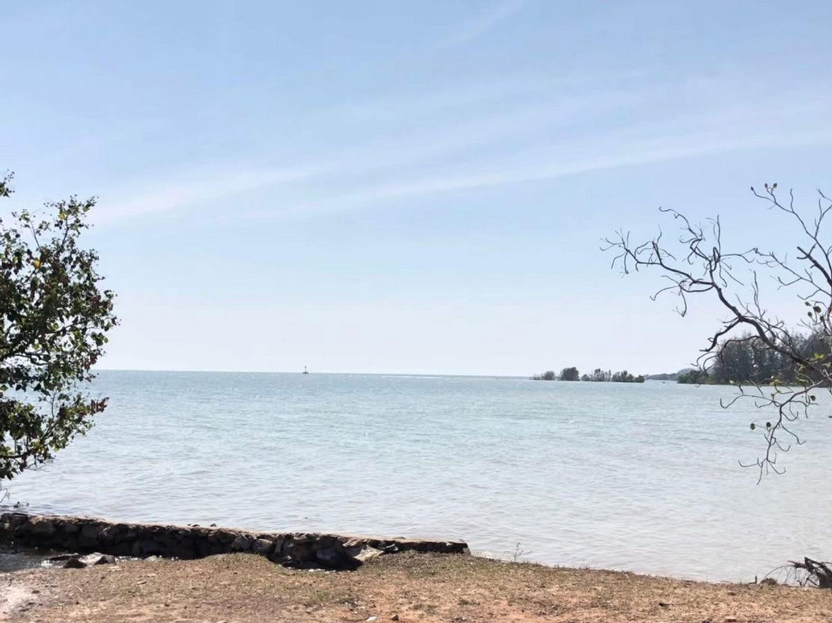 Call : 081-147-8118 Exclusive Beachfront Land for Sale, Noen Kho, Klaeng, Rayong – รูปที่ 3