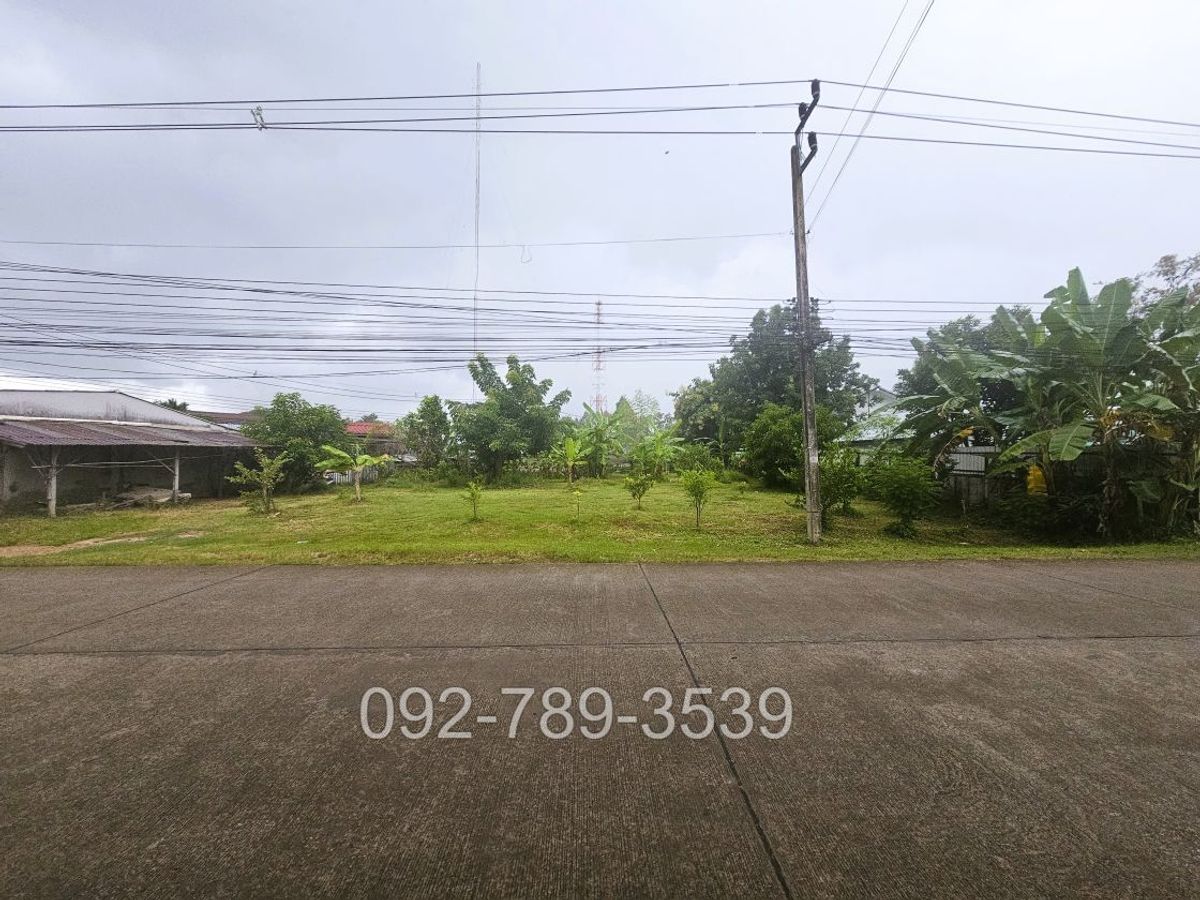 ขายที่ดิน บ้านวังยาง นครชุม กำแพงเพชร 229.7 ตร.วา ใกล้แขวงทางหลวงกำแพงเพชร ม.ราชภัฎกำแพงเพชร – รูปที่ 3
