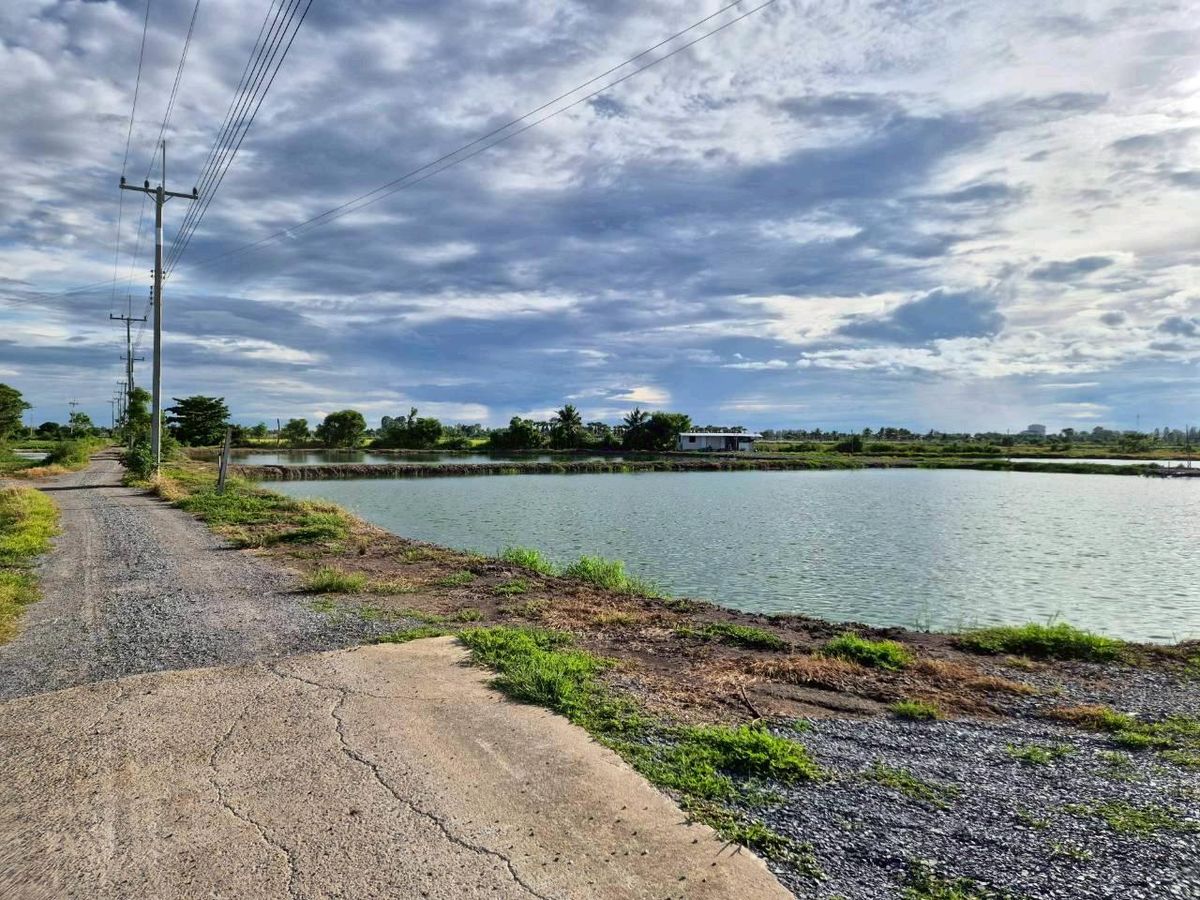 Land for sale to raise shrimp and fish in Song Phi Nong District, Suphan Buri Province. – รูปที่ 3