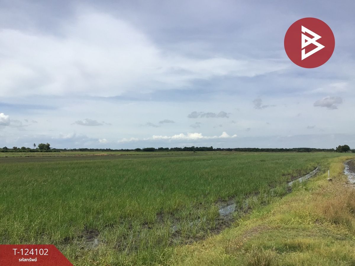 Land for sale, area 3 rai 2.2 square wah, Thap Tee Lek, Suphanburi. – รูปที่ 4