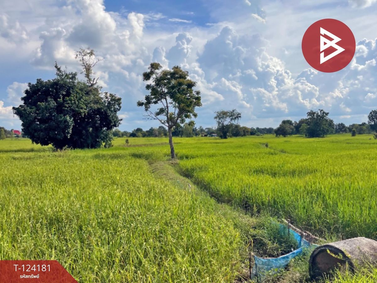 ขายที่ดิน เนื้อที่ 11 ไร่ 1 งาน 3 ตร.วา สำโรงทาบ สุรินทร์ – รูปที่ 4