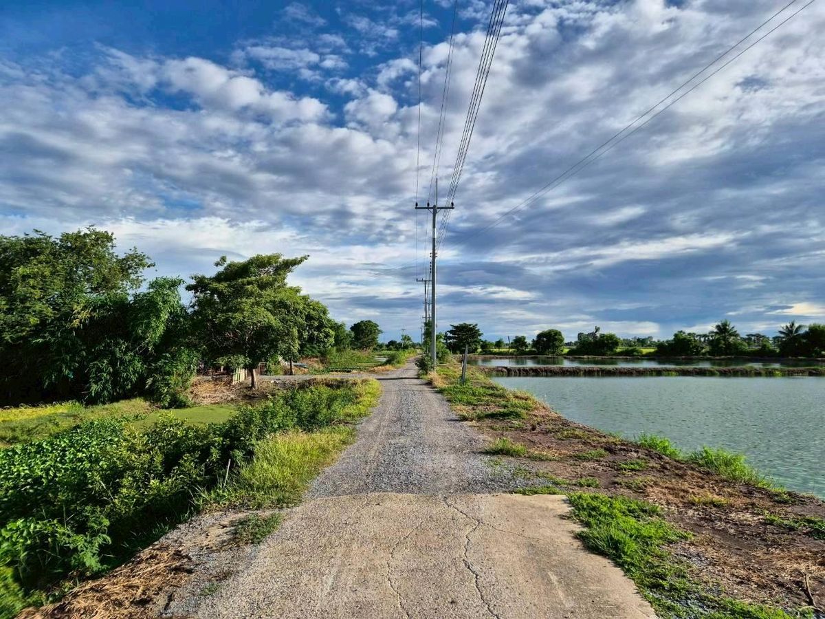 Land for sale to raise shrimp and fish in Song Phi Nong District, Suphan Buri Province. – รูปที่ 4