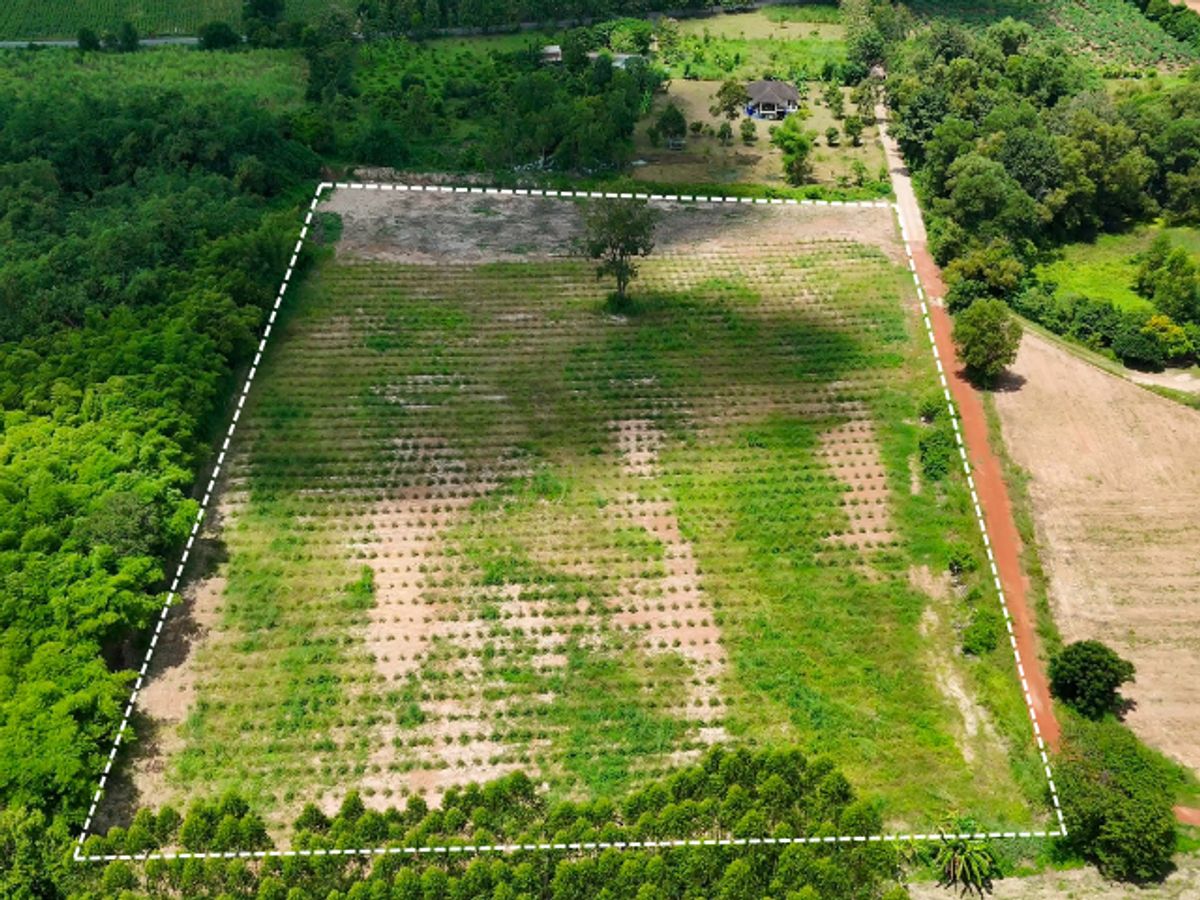ขายที่ดิน 11 ไร่ บ้านหนองเม็ก หมู่ 15 ซอยบ้านม่วงหวานซอย 1 ต.หนองเหียง อ.พนัสนิคม ฝั่งบายพาส ห่างจาก ถนน 331 (1.5 กม.) ไร่ละ 1 ล้าน (รวมโอน) ขายที่ดิน 11 ไร่ บ้านหนองเม็ก หมู่ 15 ซอยบ้านม่วงหวานซอย 1 ต.หนองเหียง อ.พนัสนิคม ฝั่งบายพาส ห่างจาก ถนน 331 (1.5 กม.) ไร่ละ 1 ล้าน (รวมโอน)