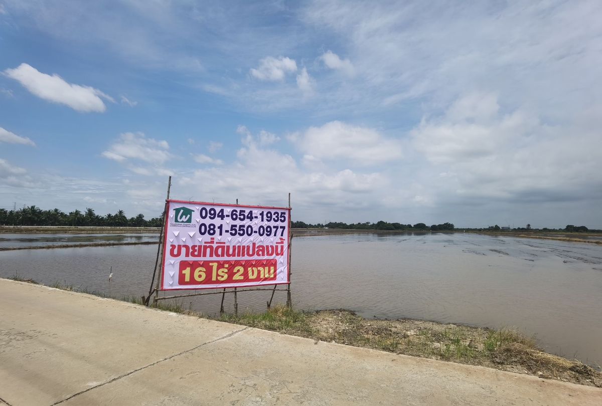 ขายที่ดินแปลงสวย ใกล้วัดนาคราช บางพลีน้อย บางบ่อ สมุทรปราการ ขายที่ดินแปลงสวย ใกล้วัดนาคราช บางพลีน้อย บางบ่อ สมุทรปราการ