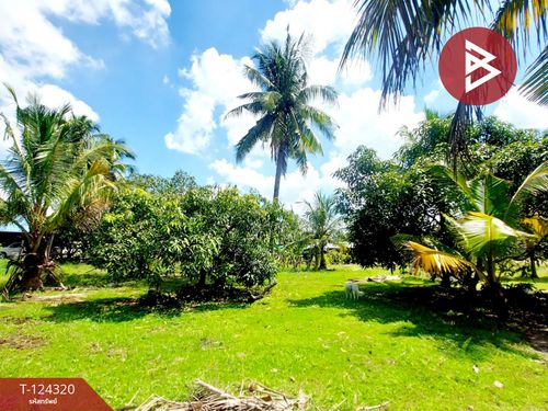 Land for sale, area 200 square meters, Nong Hong Subdistrict, Phan Thong District, Chonburi.
