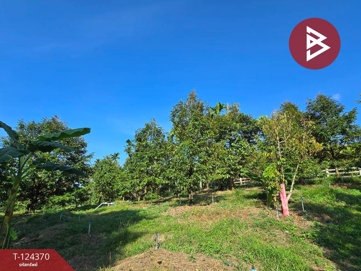Land for sale, area 3 rai 60 sq m, Pong Nam Ron, Chanthaburi. – รูปที่ 2