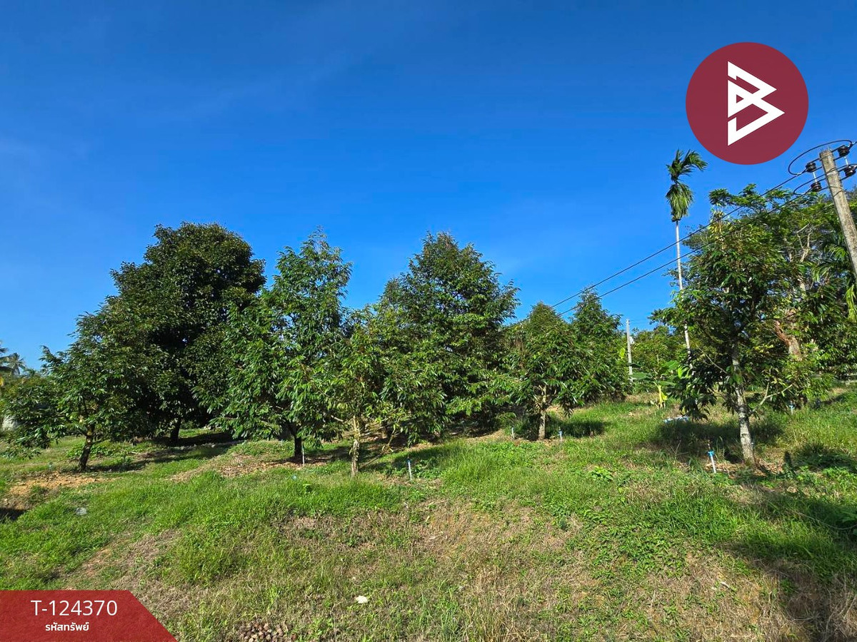 Land for sale, area 3 rai 60 sq m, Pong Nam Ron, Chanthaburi. – รูปที่ 3