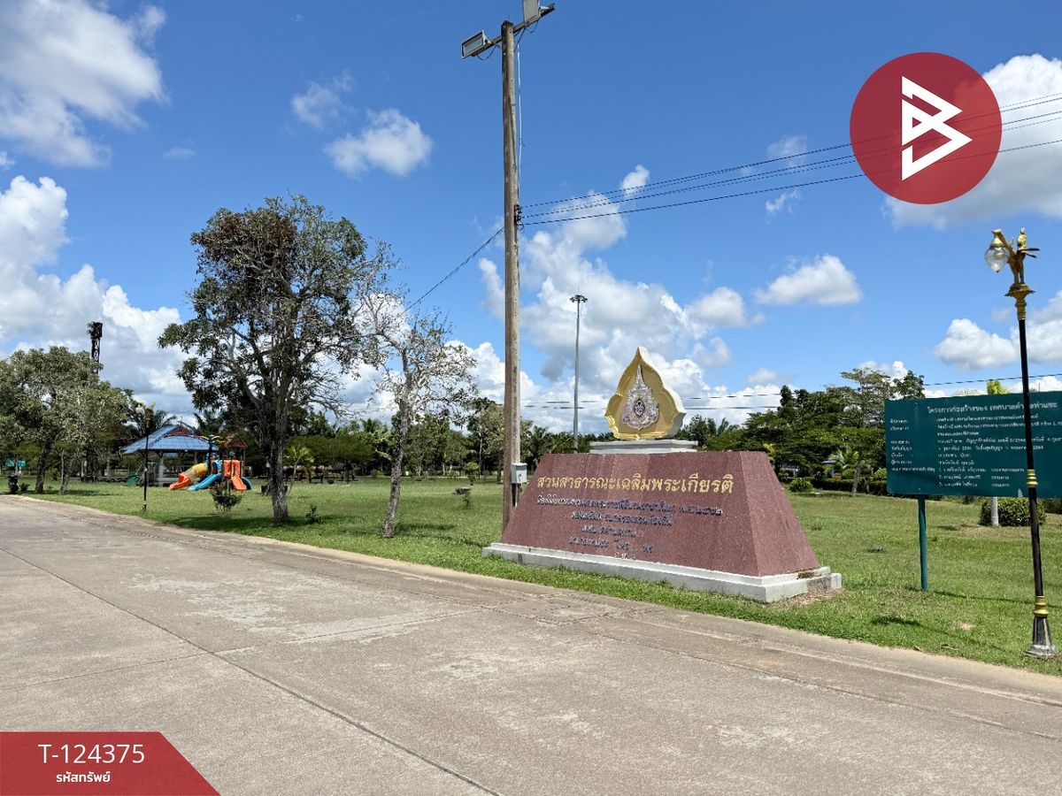 Land for sale, area 56.5 square meters, Tha Sae, Chumphon. – รูปที่ 3